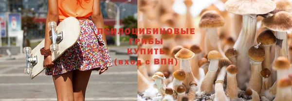 трава Кинешма