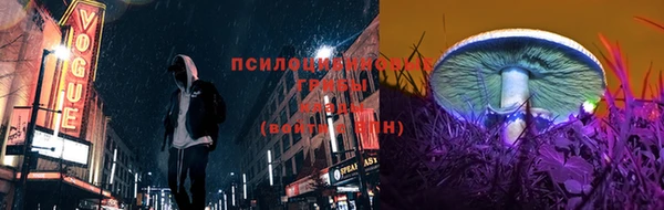 трава Кинешма