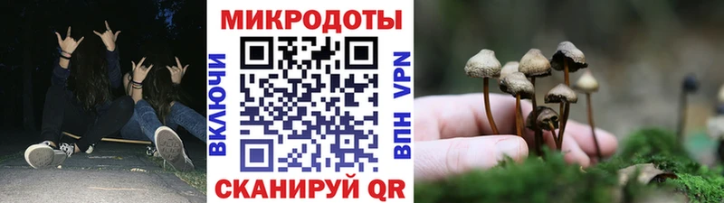 Псилоцибиновые грибы GOLDEN TEACHER  Купить  Алейск 